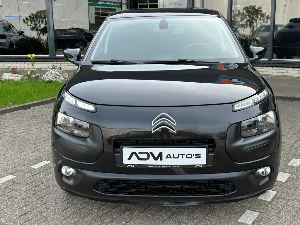 47545891-10.jpg