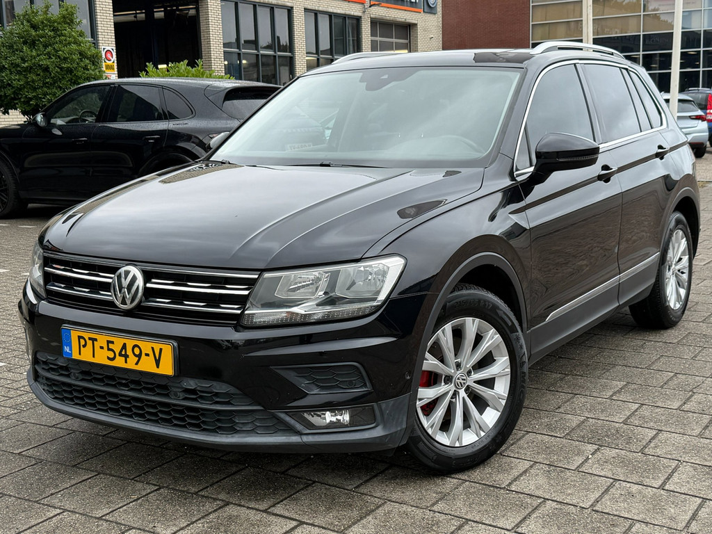55969004